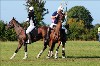 UKPA NC SAT_2118